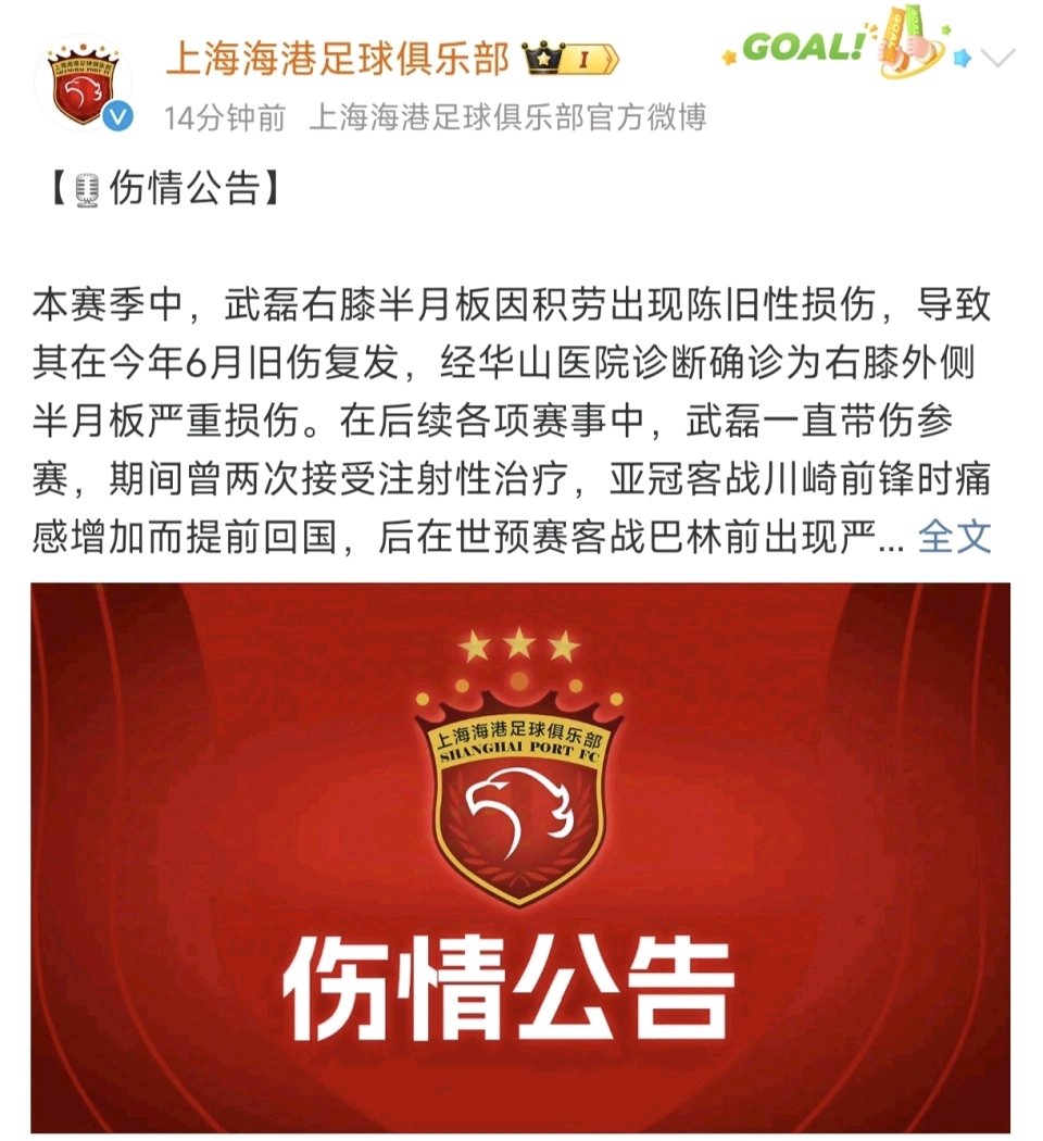 关于伤停名单再添一员，球队情况岂不妙？的信息