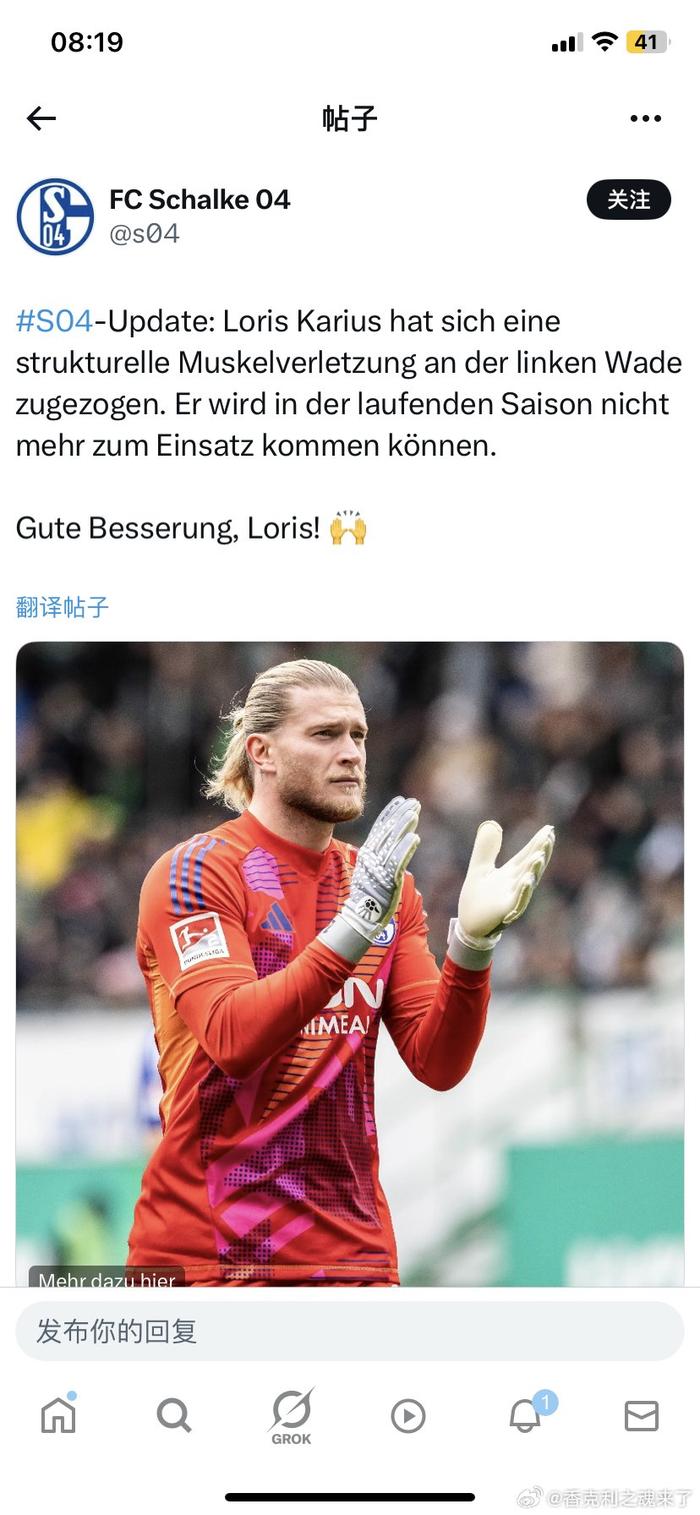 沙尔克队指望主场优势，力争击败对手的简单介绍