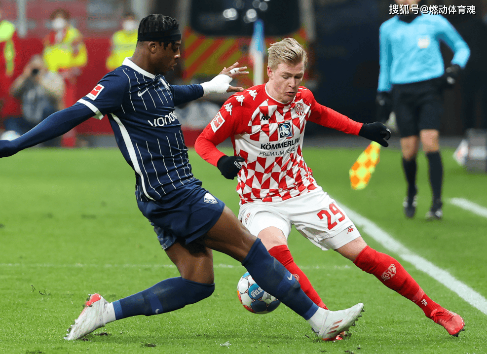 包含霍芬海姆取得关键胜利，德国足球联赛成绩走势稳定的词条