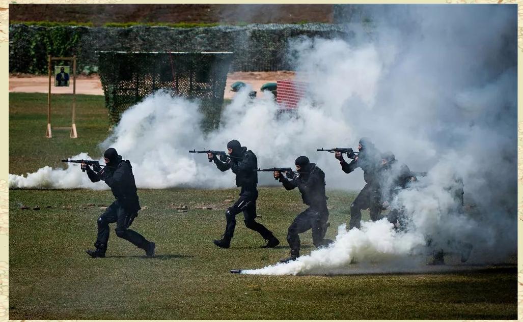 射击比赛表现抢眼，枪法精湛