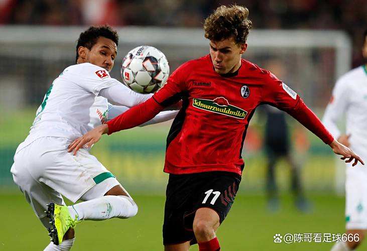 美因茨将与弗赖堡在主场激烈对决 美因茨将与弗赖堡在主场激烈对决