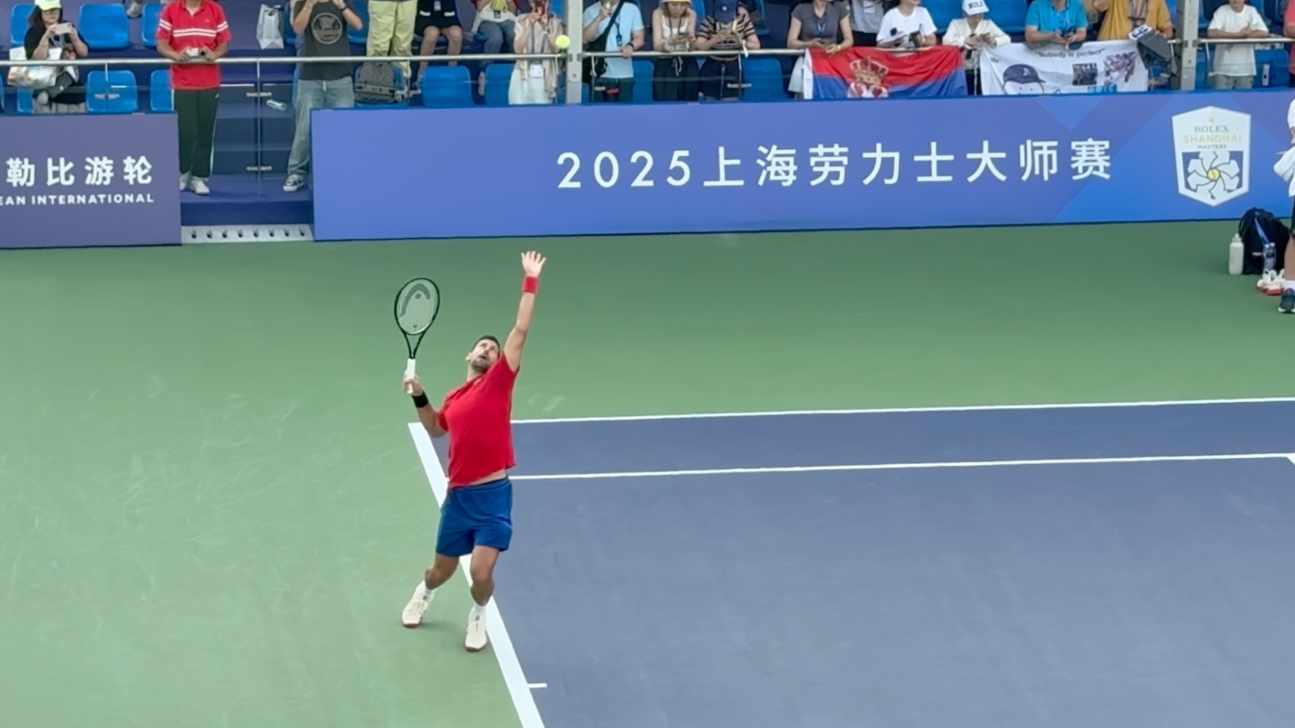 德国网球队爆冷西班牙网球队，德约科维奇打破历史纪录的简单介绍